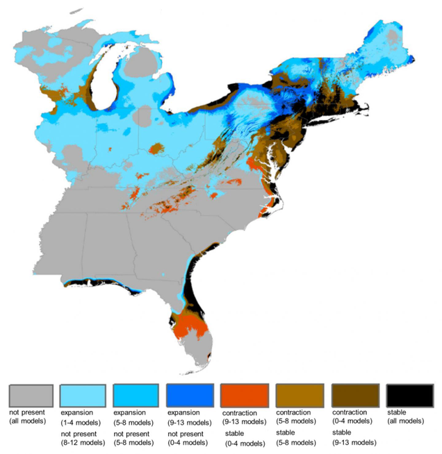 A map of the likely distribution of ragweed under an optimistic climate scenario. Blue represents the spread of ragweed under different models, orange and brown represent a decline in ragweed, while black represents areas where the plant’s growth will remain stable.